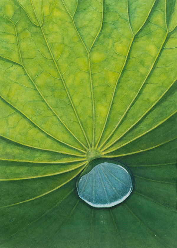 作品